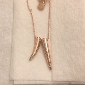Stella and Dot horn necklace